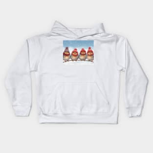 Four Cute Robins in Hats and Scarves on a Branch Kids Hoodie